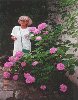 Blumen